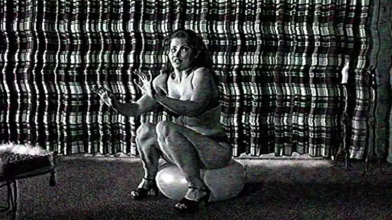  Backdrop
