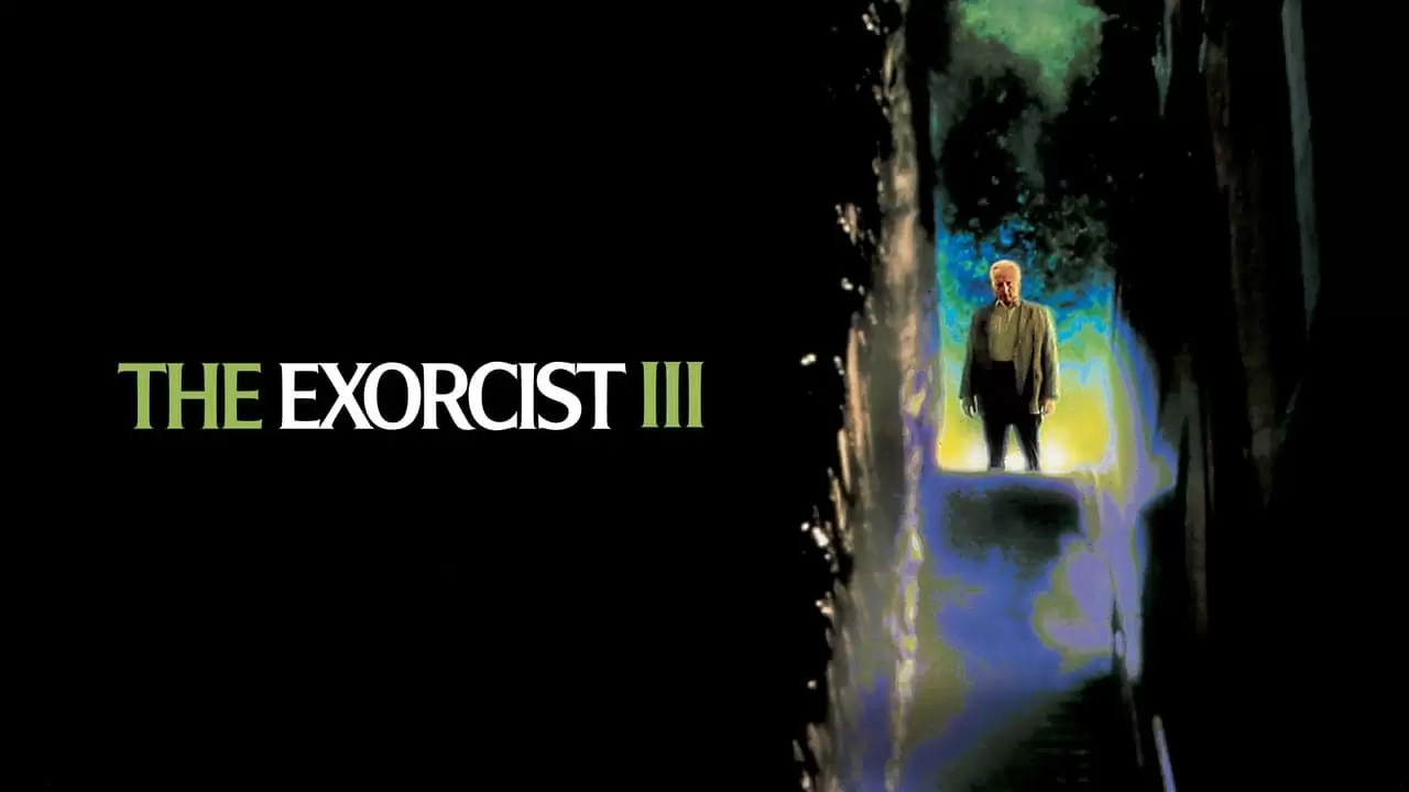  Backdrop