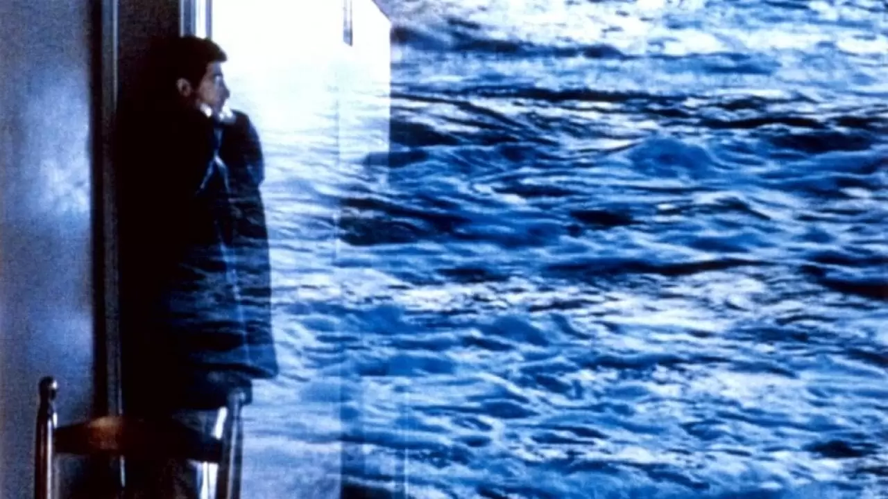  Backdrop