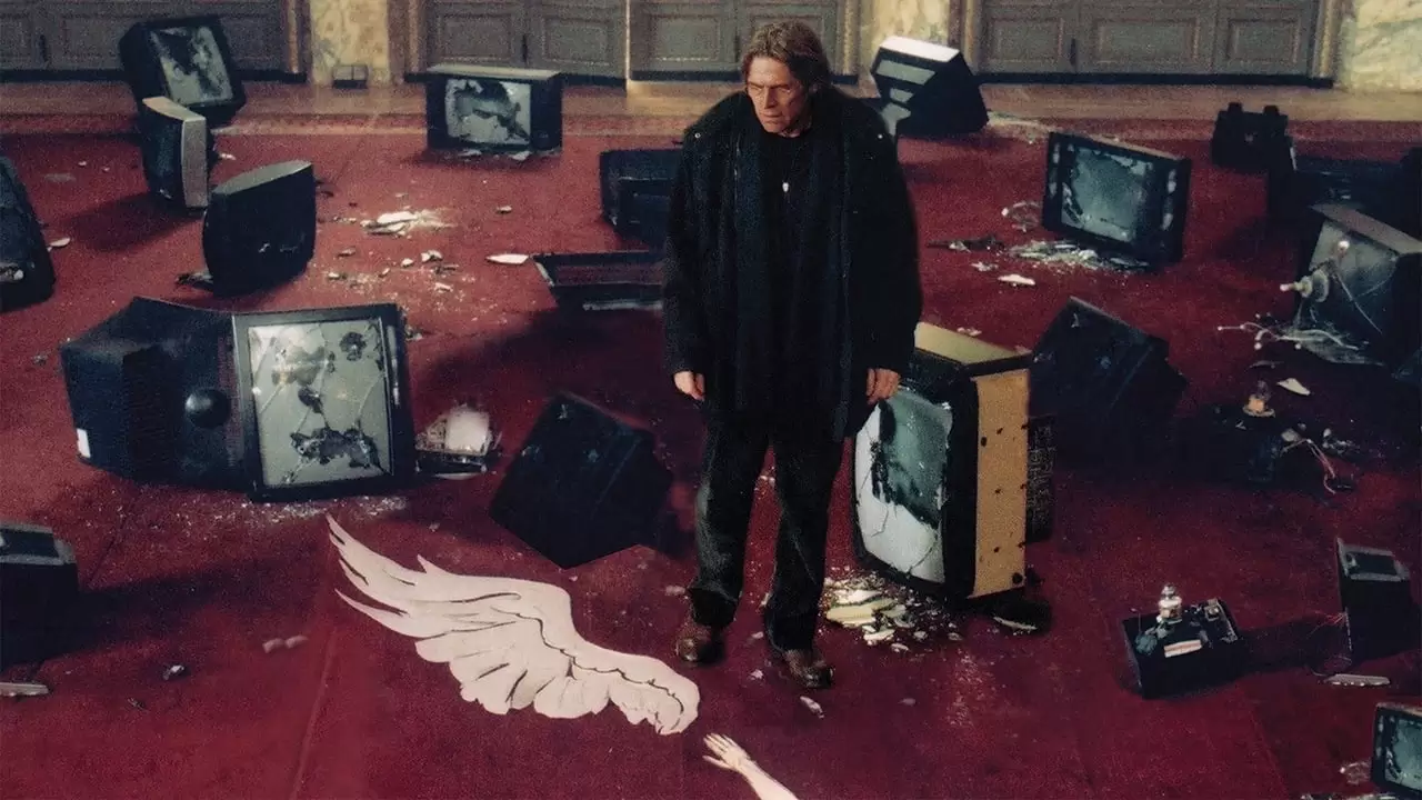  Backdrop