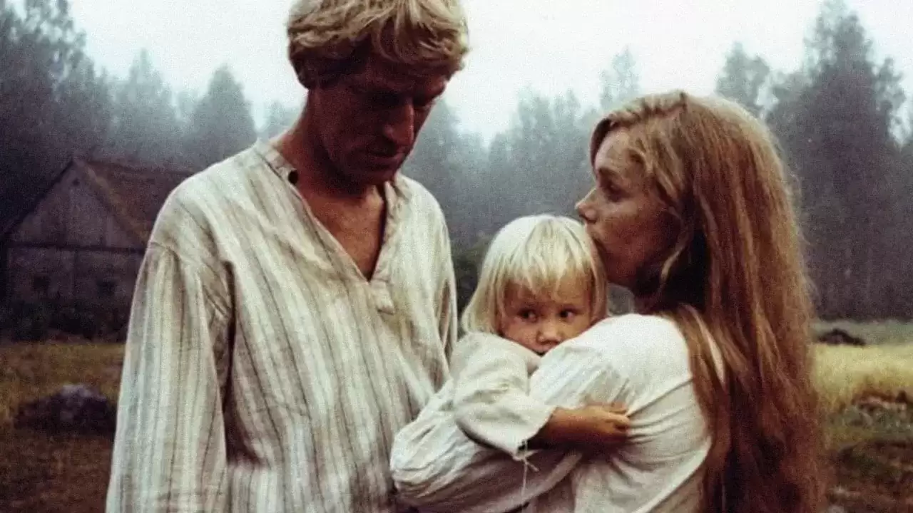  Backdrop