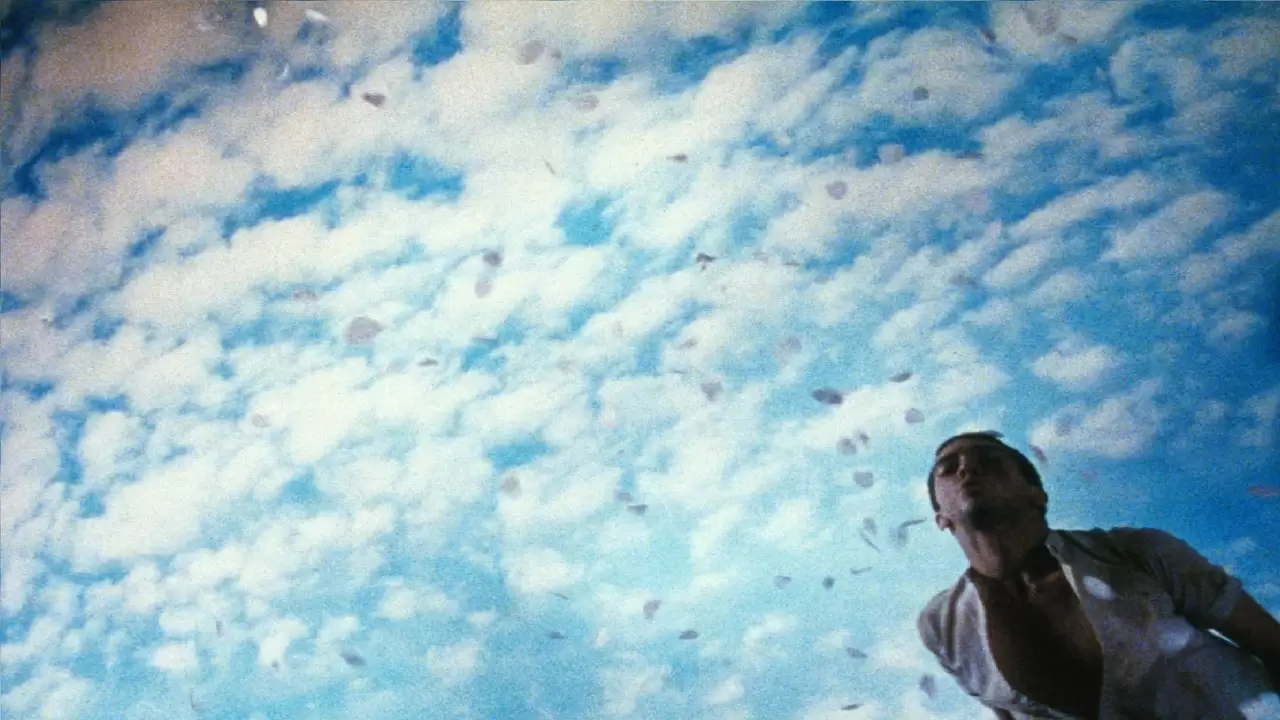  Backdrop