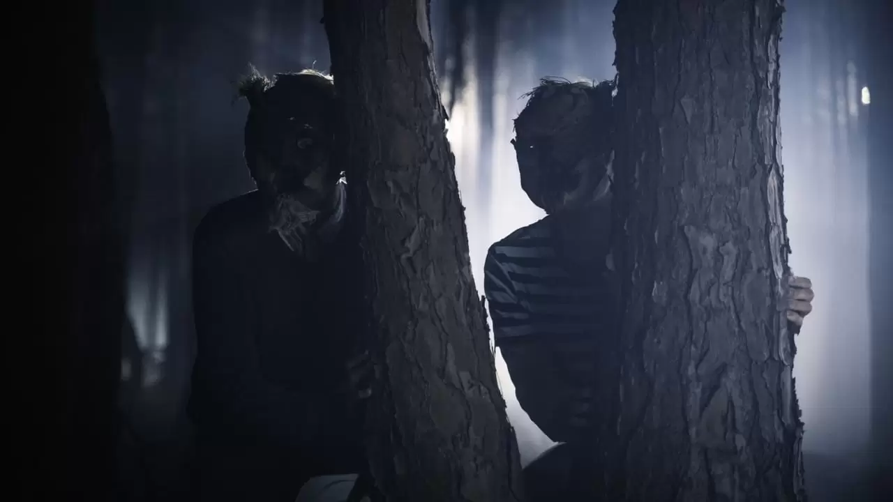  Backdrop
