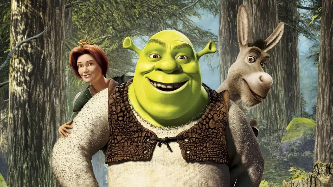  Backdrop