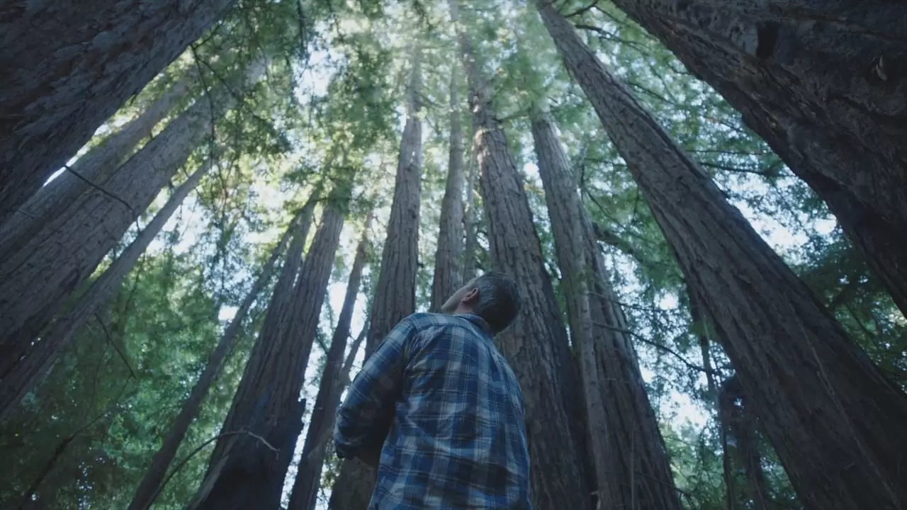  Backdrop