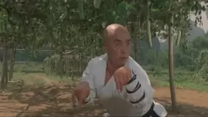 Qiuyan Huang