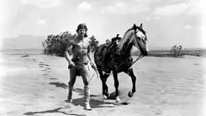 Rudy Ugland