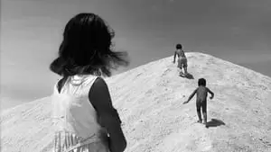 Margot Benacerraf