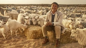 Ramin Arani