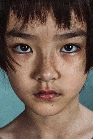 Shengdi Wang