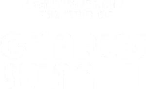 A Glimpse Inside the Mind of Charles Swan III Logo