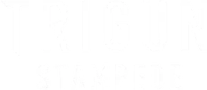 Trigun Stampede Logo