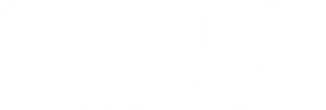 Steal Logo