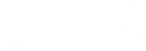 Obex Logo