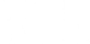Night Patrol Logo
