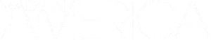 Made in America Logo