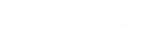 Damsel Logo