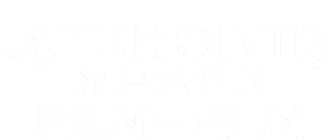 Falling in Love Like in Movies Logo