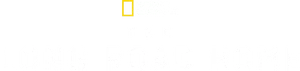 The Long Road Home Logo