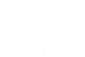 In a Violent Nature Logo