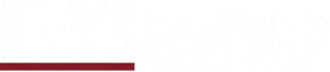 Grey's Anatomy Logo