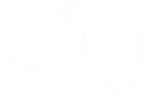 Batman: The Animated Series Logo
