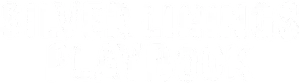 Silver Linings Playbook Logo