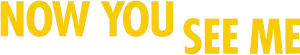 Now You See Me Logo