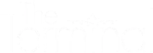 The Terminal Logo