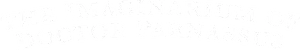 The Imaginarium of Doctor Parnassus Logo