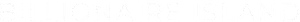 Billionaire Island Logo