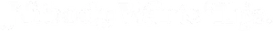 Nobody Wants This Logo