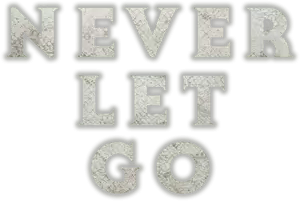 Never Let Go Logo