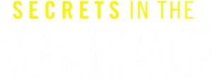 Secrets in the Marriage Logo
