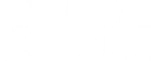 The Age of Disclosure Logo