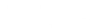 The Thing with Feathers Logo