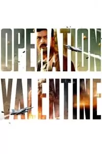 Operation Valentine Poster