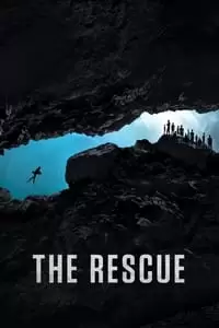 دومین پوستر کالکشن