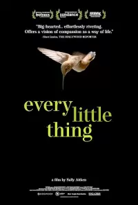 Every Little Thing Poster