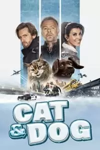 Cat and Dog Poster