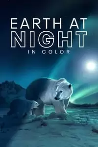 Earth at Night in Color Poster