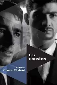The Cousins Poster