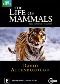 The Life of Mammals Poster