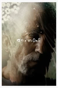 Anemone Poster