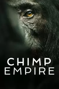 Chimp Empire Poster