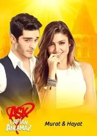 Love Doesn't Understand Words Poster