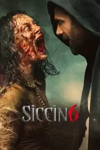 Siccin 6 Poster