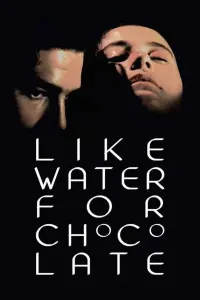 Like Water for Chocolate Poster