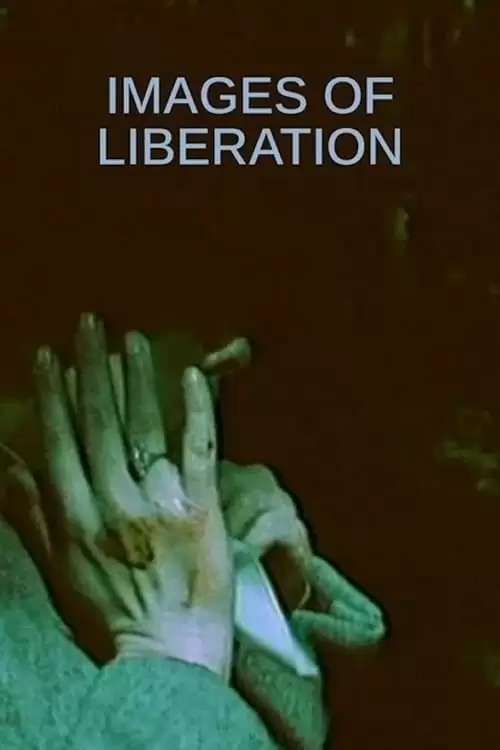 Befrielsesbilleder Poster
