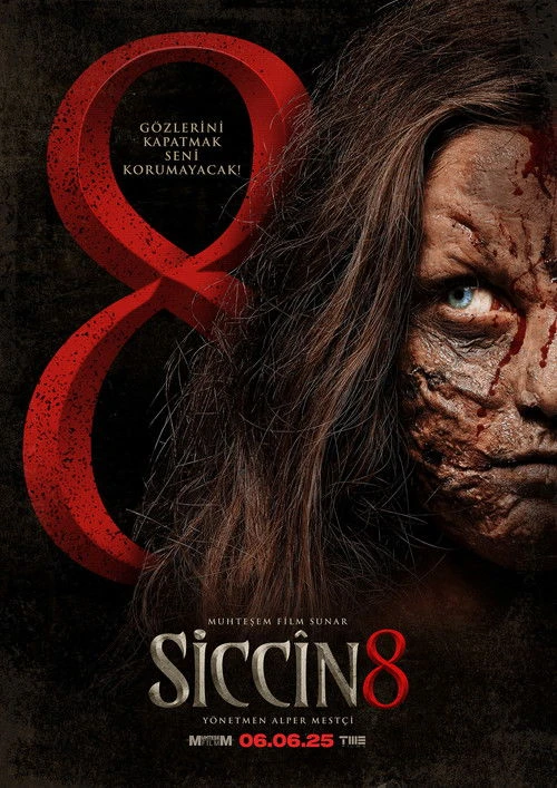 Siccin 8 Poster